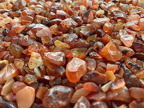 Image of GAF TREASURES 2 oz Lot Natural Carnelian Semi Tumbled Gemstone Chips, Crushed Mini Crystals, Undrilled Crystal Chips (Carnelian)