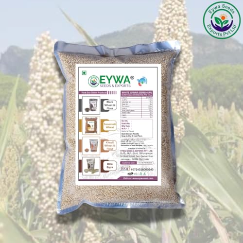 Image of Organic White Sorghum (10 Kg) /white Cholam /jovar /jonna /jola For Eating And Cooking By Eywa