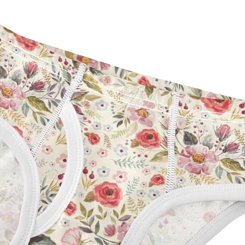 Boys' Exclusive Briefs Toddler Underwear 95% Combed Cotton Boxerbriefs 2T Rose Pattern 474