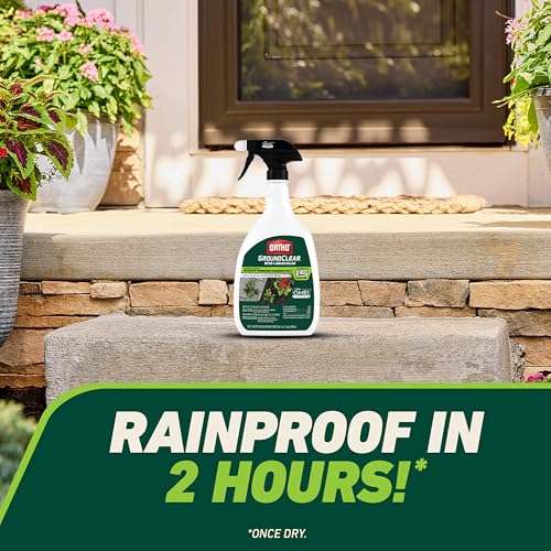 Image of Ortho GroundClear Weed & Grass Killer - Kills Dandelions, Chickweed, Crabgrass, Moss & More, OMRI Listed, Ready-to-Use Grass and Weed Killer Spray, 24 fl. oz. (2-Pack)