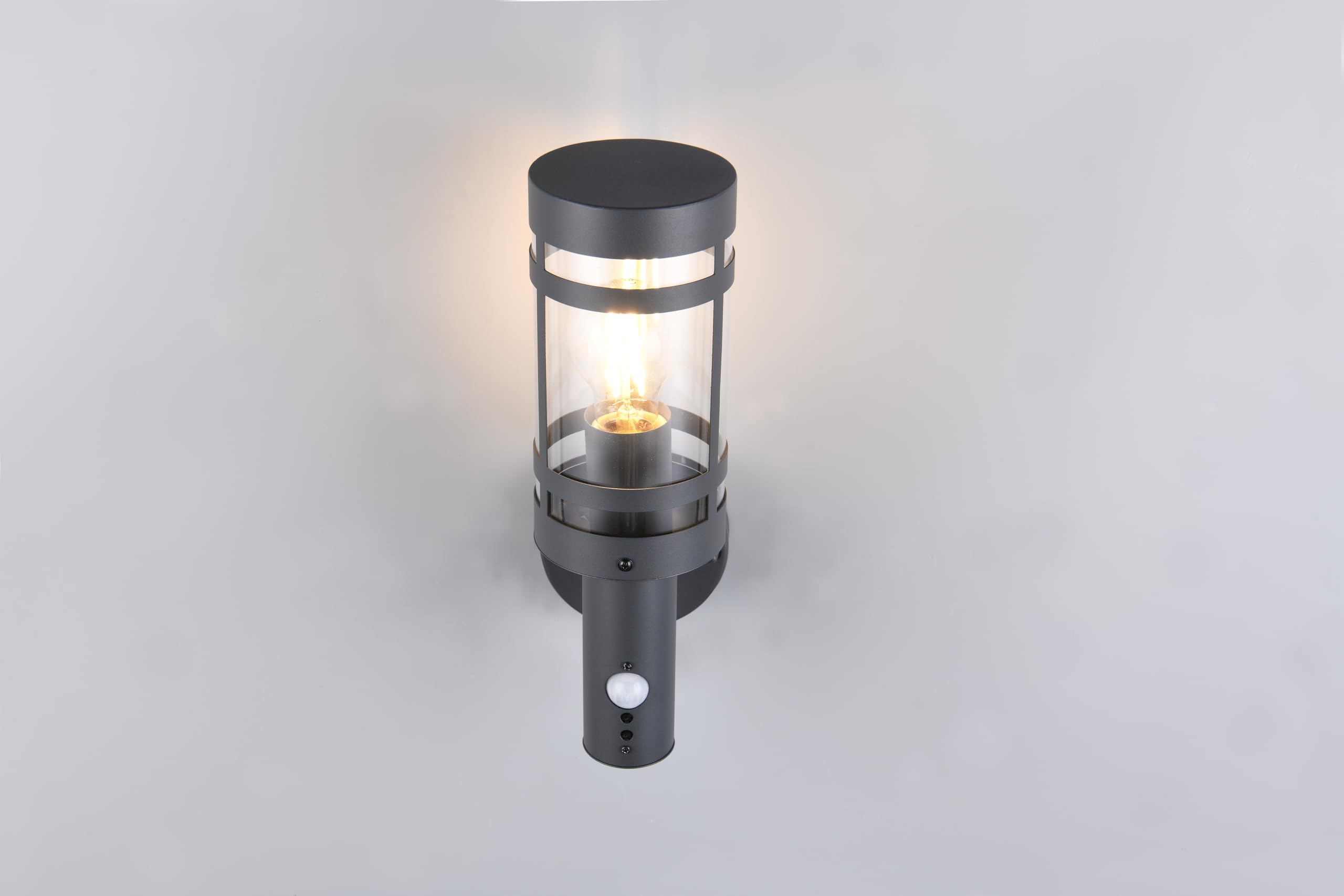 Reality Leuchten Paloma R21719142 - Lampada da parete per esterni, in metallo antracite, paralume in plastica trasparente, 1 x E27, sensore di movimento