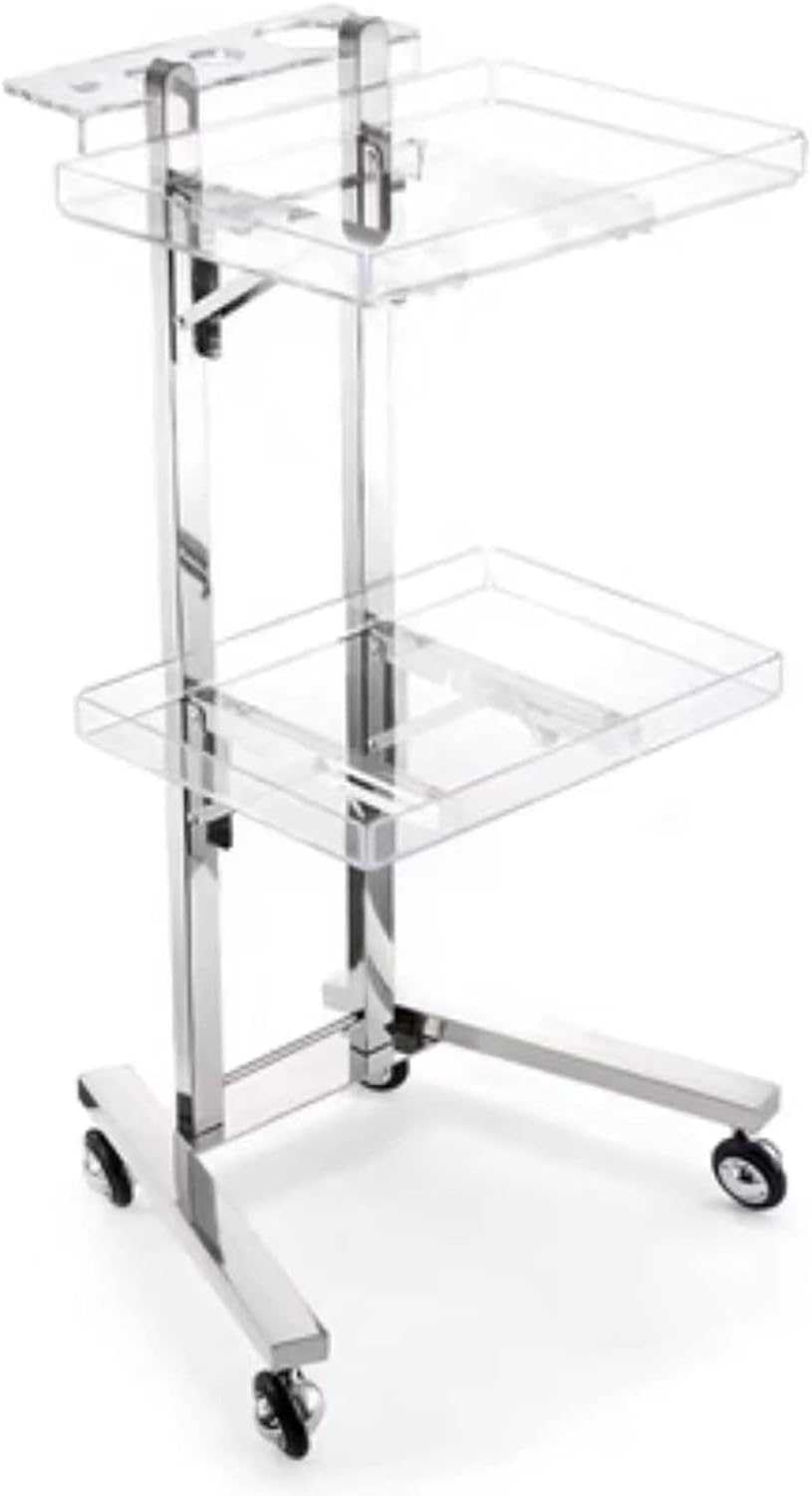 LJYKBFL 2-Tier Rolling Cart with Wheels, Stainless Steel Utility Trolley for Kitchen, Bedroom, Tattoo Shops Mobile Storage Tray Cart on Casters