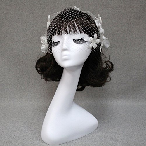 Purfun Women Mesh Veils Bridal Birdcage Veil Short Wedding Face Veil With Comb, Gothic Bride Wedding Veil Fancy Dress Party Opera Halloween Costume Headwear Hair Accessory #TOP3