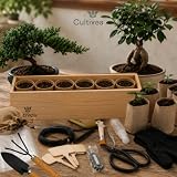 CULTIVEA® Zestaw bonsai Box Experience – kompletny zestaw bonsai dla początkujących z nasionami, doniczkami, torfem, narzędziami i przewodnikiem – zestaw do uprawy roślin bonsai, prezent