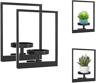 Picture Frame Wall Plant Holder - Metal Plant Wall Frame for Indoor & Ou...