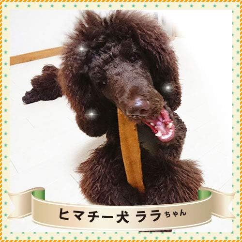 Amazon ロアジス正規品 ヒマラヤチーズ スティック Lサイズ 単品 約160g 犬用おやつ ヒマチー 無添加 チーズガム 商標登録 ヤクミルク ロアジス直営店 ヒマラヤチーズスティック ガム ローハイド 通販