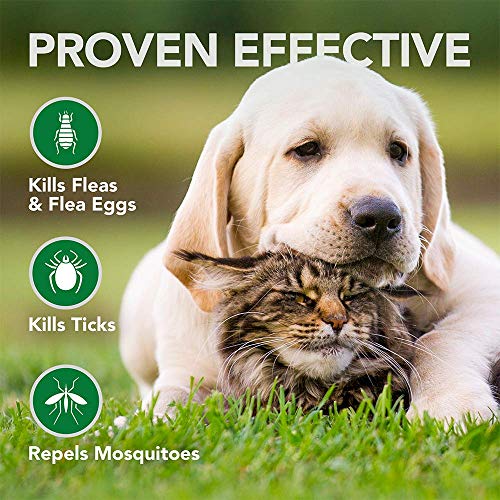 Vet's Best Flea and Tick Wipes for Dogs and Cats | Targeted Flea & Tick Application | Multi-Purpose Flea Treatment for… - Image 3