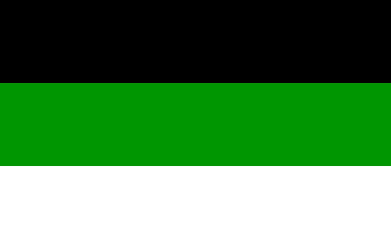 Drapeau paysage Tehnola lipp grand format 1.35m² pour mât