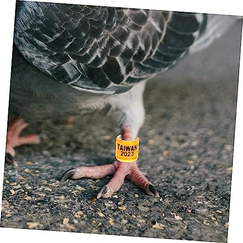 Ipetboom 500 Peças Anel De Pé De Pombo Faixas De Perna De Frango Cocô De Corrida Anel De Perna De Pa