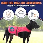 Reflective Dog Vest, Hi Vis Safety Gear for Low-Light Morning & Night Walks - Image 4