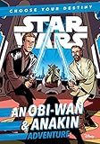 obi wangen küche  Star Wars An Obi-Wan & Anakin Adventure: A Choose Your Destiny Chapter Book