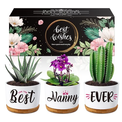 Buioata Gifts for Nan - Succulent Planters Nanny Gifts, Touching Sayings Engraved Gifts for Nanny, Nan birthday gifts, Nan Gifts for Birthday Christmas Thanksgiving Mothers Day