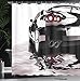 Ambesonne Cars Shower Curtain, Modern Dark Car Water Reflection Prestige Fast Engine Performance Lifestyle, Cloth Fabric Bathroom Decor Set with Hooks, 69