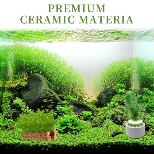 Image of 12 PCS New Upgrade Aquarium Plant Weight,Aquarium Plant Holder Aquatic Plants Ceramic Fixing Ring Anti-Floating Ceramic Aquariums Plants Ring Aquariums Landscape Decorative Accessories