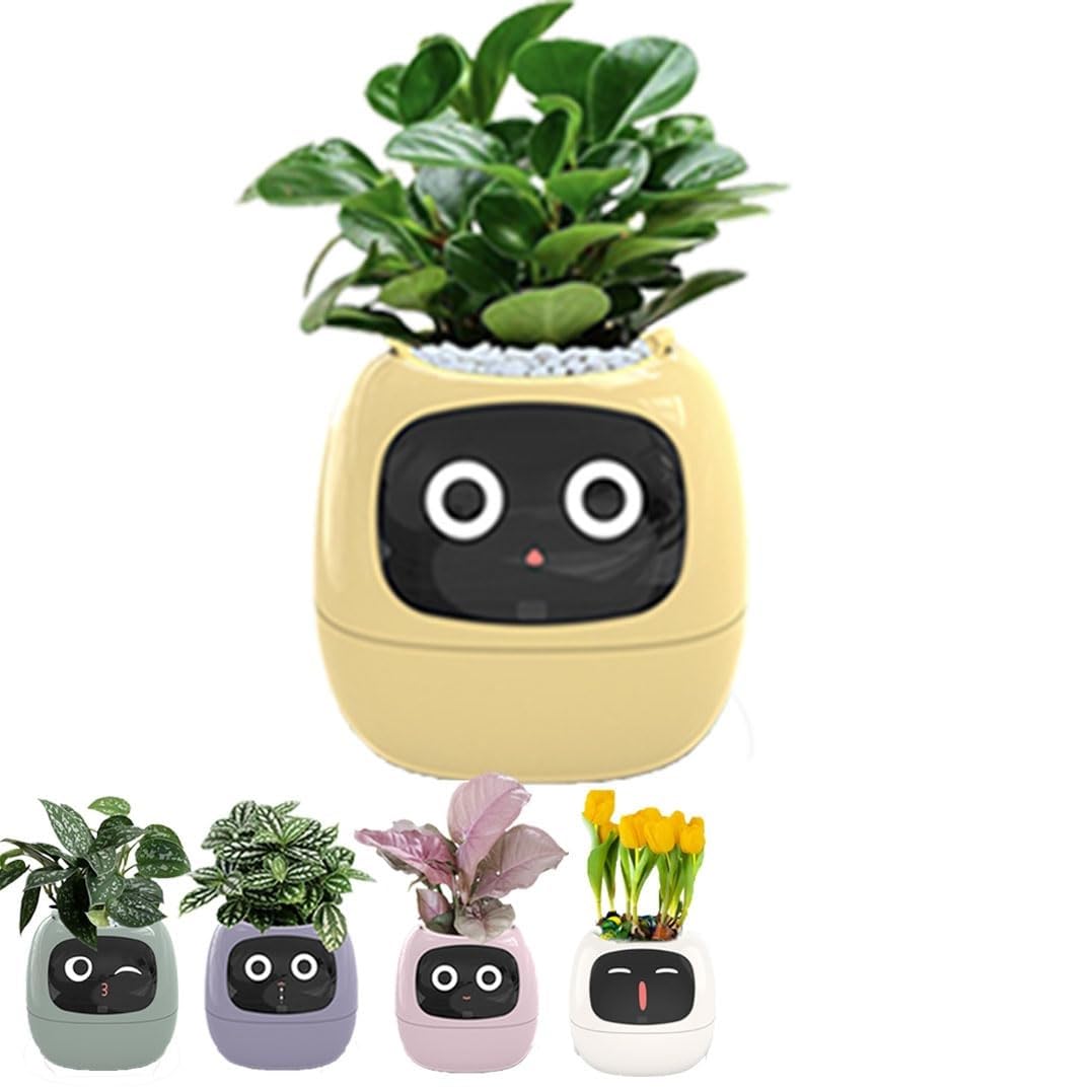 鉢・プランター Raruchia Amazon.co.jp: イタリア製 プランター ペドロ φ60cm H31cm 20号