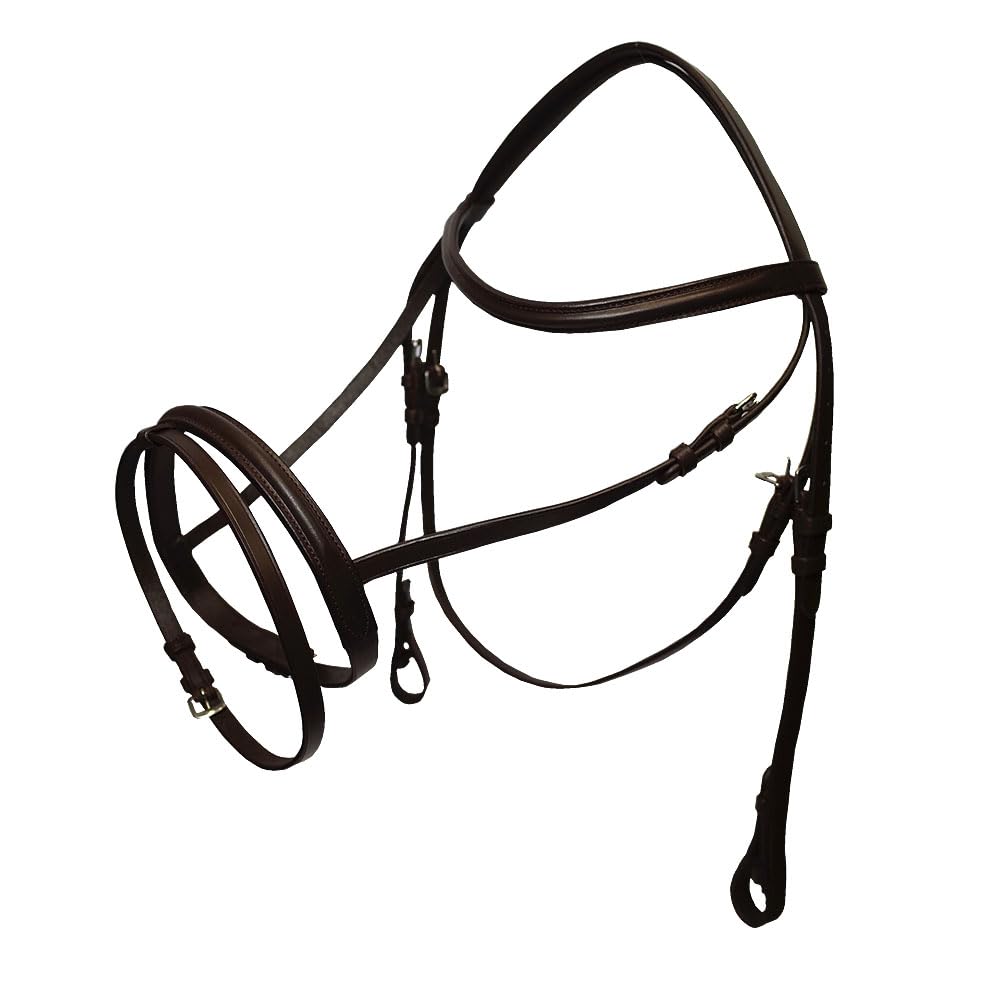 GS Equestrian Economical Flash Bridle GSE900 Cob/Full (Cob, Black) Browband Noseband Simplistic Design Detachable Flash Strap Removable Throat Lash Strap Keepers 5/8" Cheekpieces