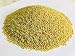 Ikshvaku Organic Brown Top Millet | Korale | Natural Indian Farm Products from Malnad, Mangalore | ONE Pack