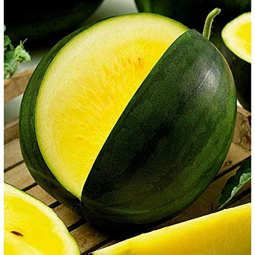 Seeds Rare Watermelon Yellow (Not Seedless) Berries Fruits Vegetable Heirloom For Planting Non Gmo #TOP2