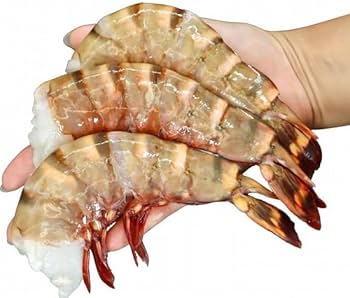 Amazon.co.jp: 超超超特大サイズ 約24尾～32尾入り 6/8サイズ 天然シー