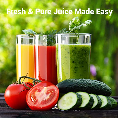 Easehold Upgraded Juicer Machine, Centrifugal Juice Extractor For Vegetable And Fruit, Anti-Drip, Easy To Clean, Bpa-Free With Juice Jug And Pulp Container, 1000W #TOP1