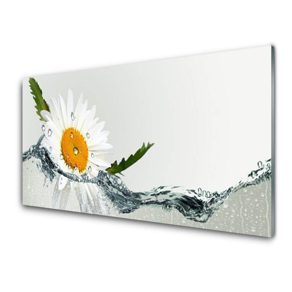 Tableau en verre trempé 100x50cm Tulup, décoration murale haut de gamme effet brillant