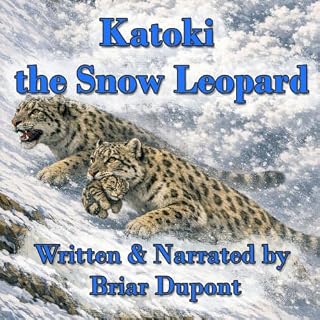 Katoki the Snow Leopard cover art