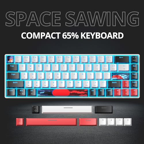 Image of Protable 60% Percent Gaming Keyboard Mechanical, Mini Compact Ice-Blue LED Backlit 68 Keys Wired Office Keyboard with Red Switch for Mac /Win /PS4 /PS5（68White /red Switch）