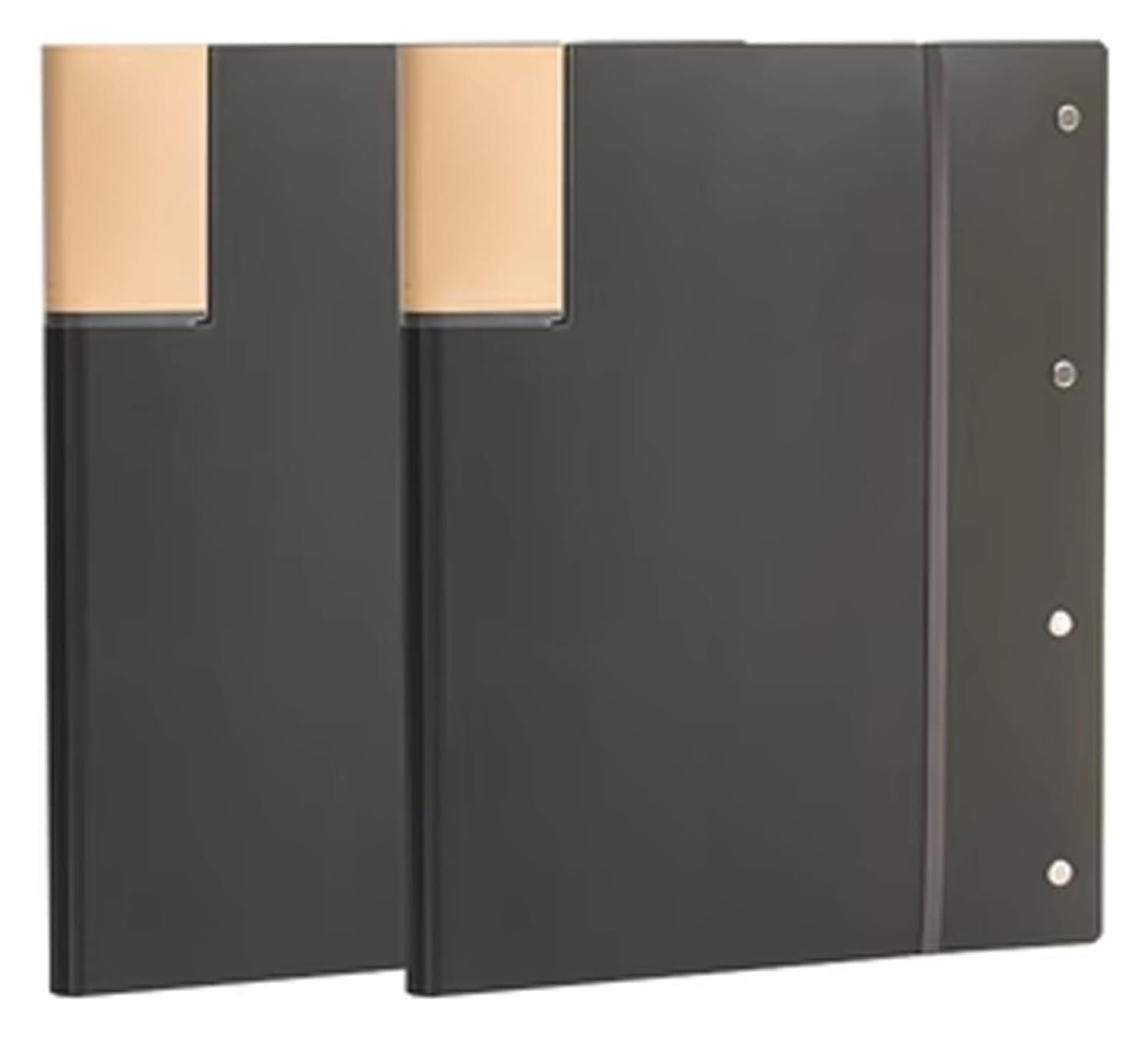 Cartelle ad anelli, Libro di presentazione A3, raccoglitore for portfolio da 40 tasche, maniche trasparenti, 2 pezzi, multicolore(Black)