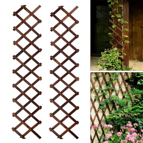 Image of 2Pcs Expandable Garden Trellis, 13 inchx68 inch Trellis for Climbing Plants Outdoor | Thicken Wooden Lattice for Ivy Vine Rose Clematis for Garden Fence Wall Patio Room Decor, Brown