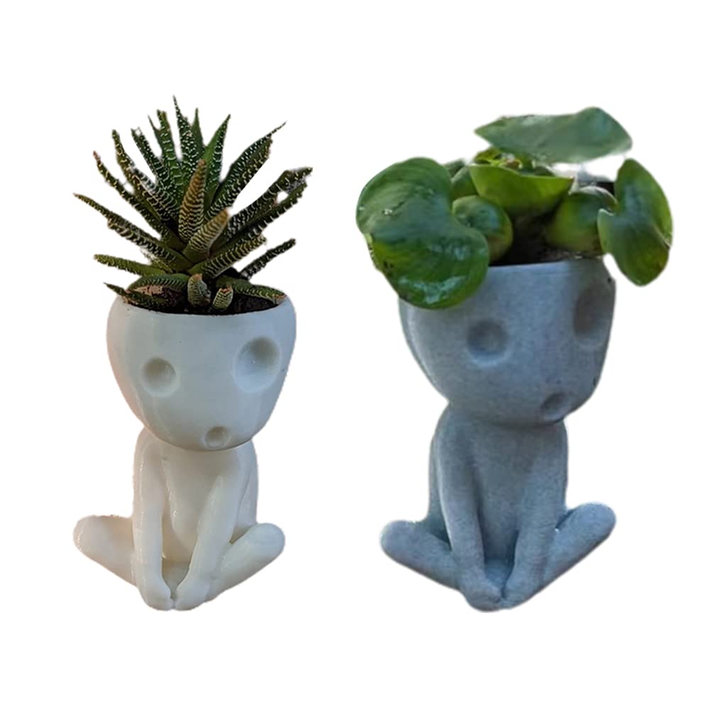 Tianbi Head Pflanztopf, Leuchtendes Gesicht, Kaktus-Pflanzgef, niedlicher  Harz-Sukkulenten-bertopf mit Ablaufloch, Haus, Bro, Dekoration:  Amazon.de: Garten