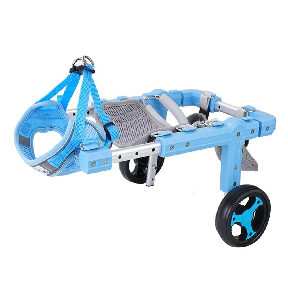 Silla de ruedas para perro, pierna trasera ajustable, ayuda a la movilidad para mascotas, soporte ligero para displasia de cadera y artritis, ideal para perros mayores