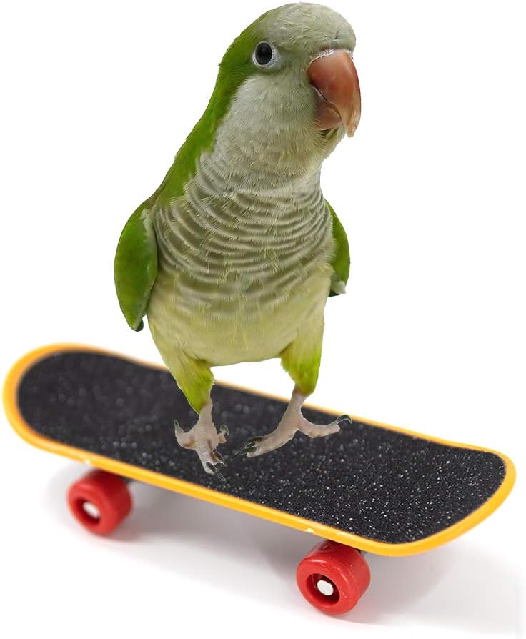 YINGGE Bird Climbing Toys Mini Scrub Scooter Skateboard Training Toys for Pet Small and Medium Parrots Parakeets, Cockatiels, Lovebirds, Sun Conures, Caique
