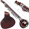 Indian Sitar, Portable Travel Organ, Handmade Niche Musical Instrument, Cheerful, Festive Atmosphere