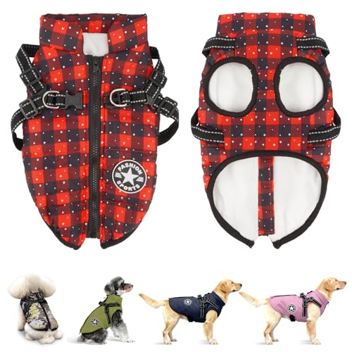 Anzentakai  ~y2025N~̓ozy ȕR[g n[lXt wJ   Ԕ g ybg L   ~ EȒP N ̕ xXg h h  WPbg [hO ^ ^ ^