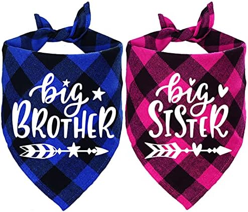 STMK Big Brother Big Sister Dog Bandana