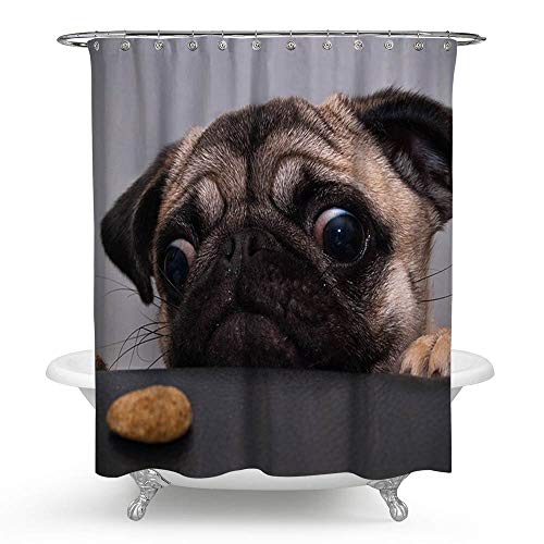 KISY Rideau de douche en tissu motif carlin avec 12 crochets en plastique - Anti-moisissure - Séchage rapide - 180 cm x 180 cm Cover