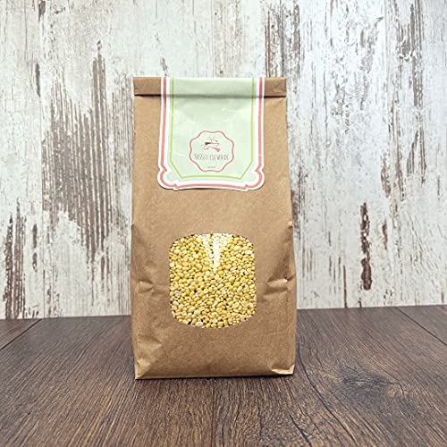 süssundclever.de® Bio Mungbohnen | geschält & halbiert | Mung Dal | 1,0 kg | plastikfrei und ökologisch-nachhaltig abgepackt