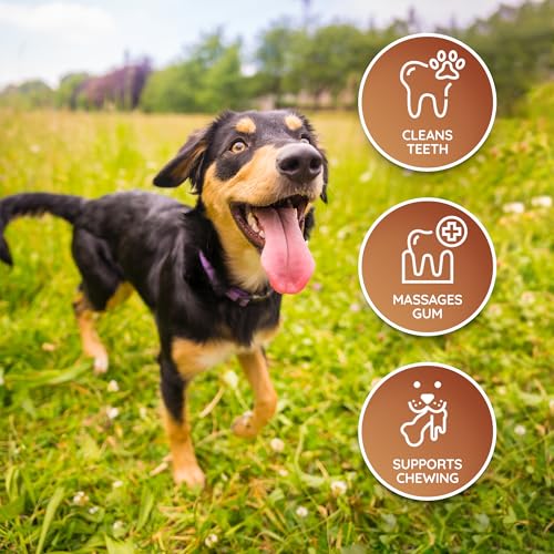 Wildfang® Leder Kauknochen Hund, Größe S – zahnpflege Hund, Hundespielzeug, kauspielzeug & kauknochen Welpen – für leichte bis mittlere Kauer (unter 1 kg), 1 Stück