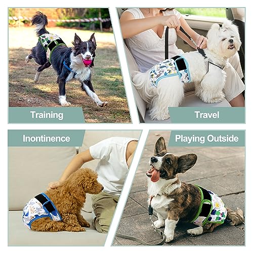 Image of Washable Female Dog Diapers - Premium Reusable Diapers for Doggie in Heat - Highly Absorbent Dog Diapers Female for Pet Incontinence with Adjustable Snaps (Cactus,S)