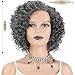XIUFAXIRUSI XIUFAXIRUSI Short Curly Afro Wigs for Black Women Grey Kinky Curly Full Hair Wig Synthetic Natural Salt N Pepper Heat Resistant Wigs for Daily Use