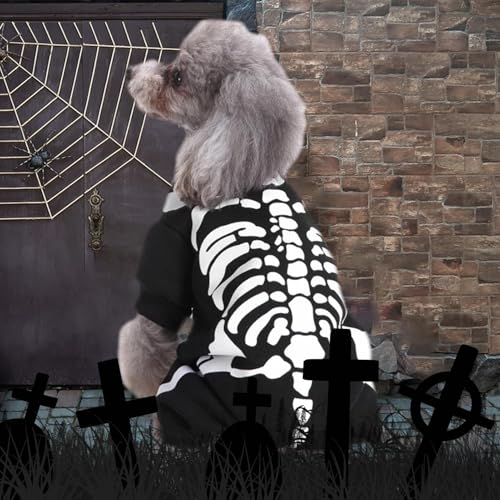 Photo complémentaire