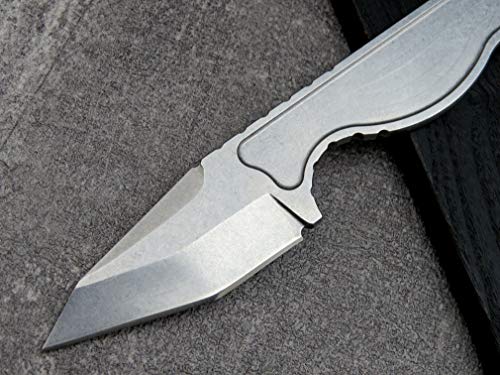 Ccanku C1101 Fixed Blade Knife D2 Blade, Stainless Steel Handle And Knife Kydex Sheath For Outdoor Hunting, Survival And Edc Tool(Silver) #TOP3