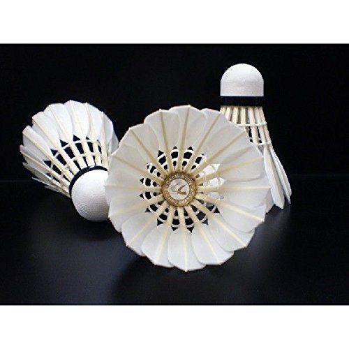 新品CIAO BRAND バドミントンシャトル 新品CIAO BRAND バドミントンシャトル バドミントンシャトル PNX