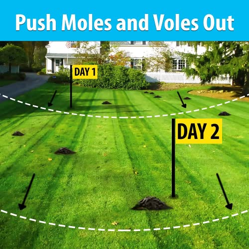 Say Goodbye to Garden Pests: Discover the Power of Nature’s Mace Mole and Vole Repellent!