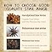 Sezhylee Star Anise Whole Pods 3.5oz Bulk Bag (1-Pack) All-Natural Chinese Star Anise for Baking, Tea & Mulled Wine Non-GMO Anise Stars Whole & Anis Estrellado