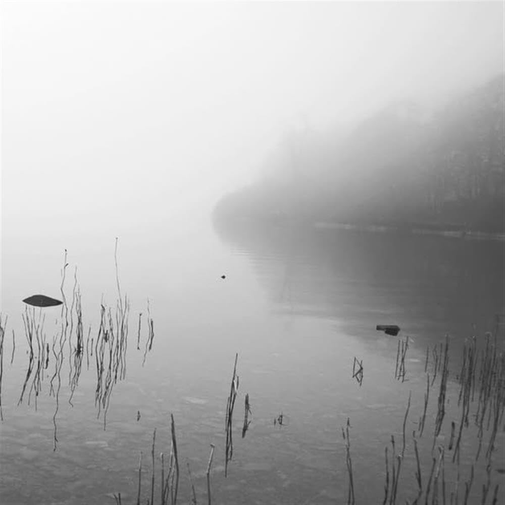 DAKOTA SUITE - This River Only Brings Poison (20th Anniversary Edition) - 2xLP