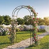 SCENDOR GARDEN 124 cm x 47cm x 212 cm Gartenbogen, Schwarzer robuster Metall-Eisen-Bogen, Innenhof-Gussgitter für Verschiedene Kletterpflanzen, Outdoor-europäischer Torbogen für Hochzeitszeremonie