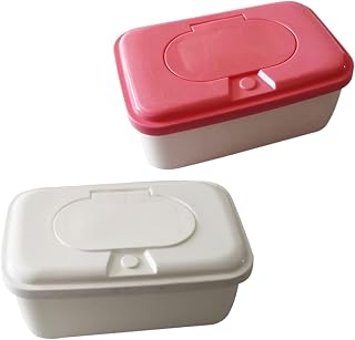 STOBAZA 2 Pçs Caixa De Limpeza Valise De Voyage Porta Lenços De Viagem Estojo De Lenços De Bebê De Viagem Dispensador De Lenços Porta-Lenços Porta-Lenços Recarregáveis Dispensador De