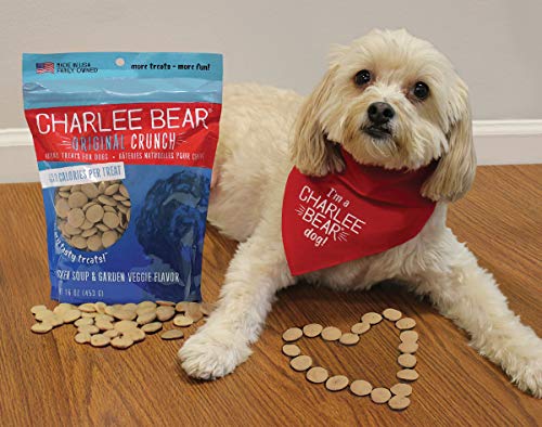 Charlee Bear Dog Treats Chicken Soup & Garden Veggie Flavor (6 Pack) 16 Oz Each #TOP1