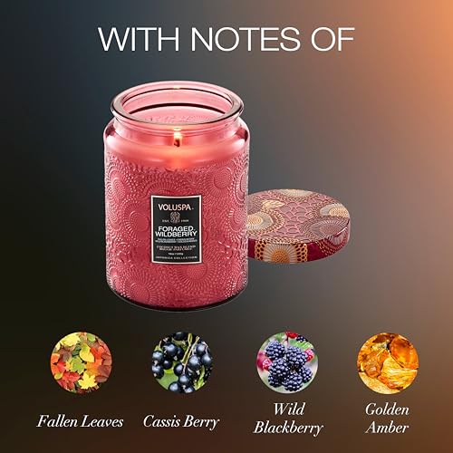 Image of Voluspa Foraged Wildberry Large Jar Candle, 18 oz, Coconut Wax Blend, Berry Scented Candle for Home, 100 Hour Burn Time, Handcrafted in the USA